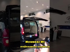 গ্লোবাল অটোমোটিভ আফটার মার্কেটে ডাবল পোল সহ Hyundai H1 স্বয়ংক্রিয় টেলগেট লিফট