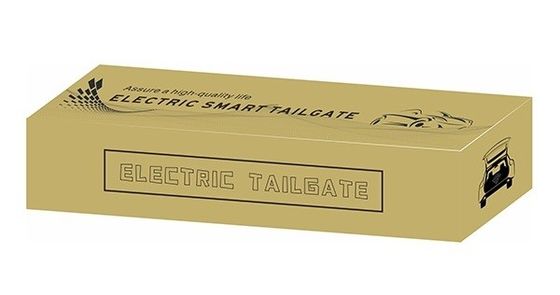 Buick Electra E5 Open Electronically Power Operated Tailgate Lift Assisting System